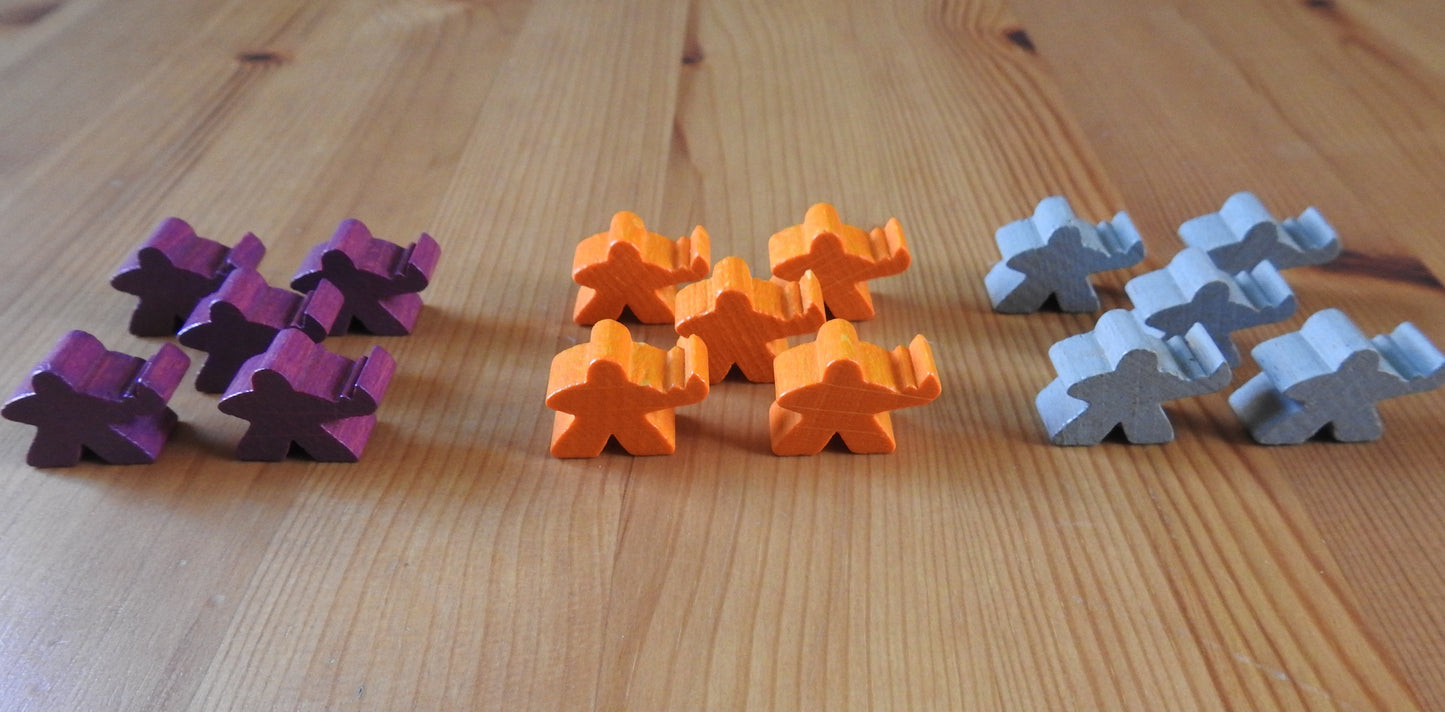 Mists Over Carcassone - 5 Wooden Guardian Meeples Set | Accessory - Green Zink Games