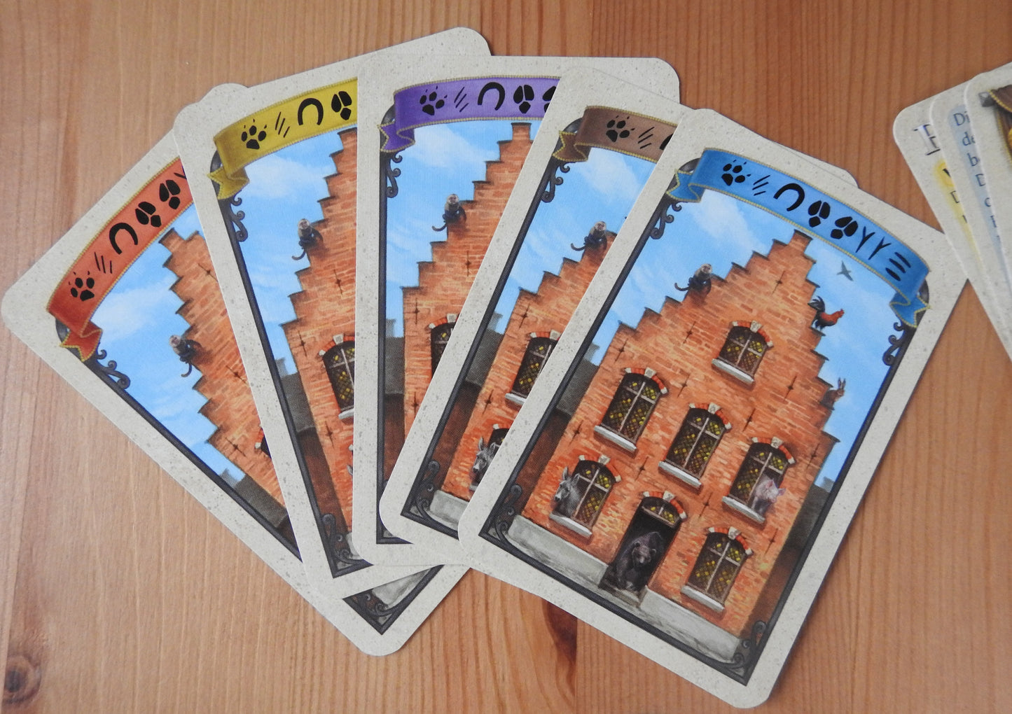 View of the backs of the cards in the five different colours - red, yellow, purple, brown and blue.