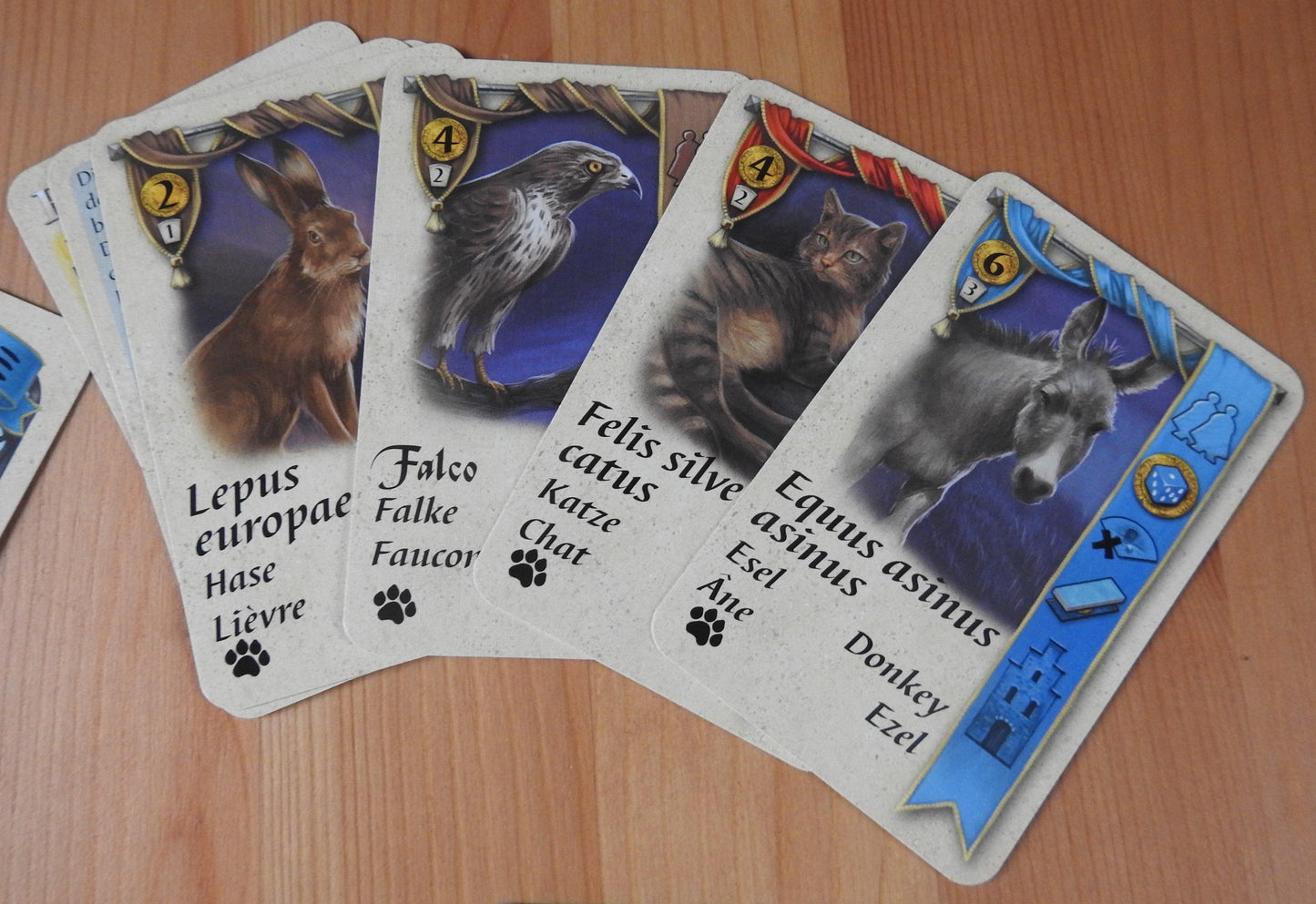Bruges - Pets | Mini Expansion - Green Zink Games