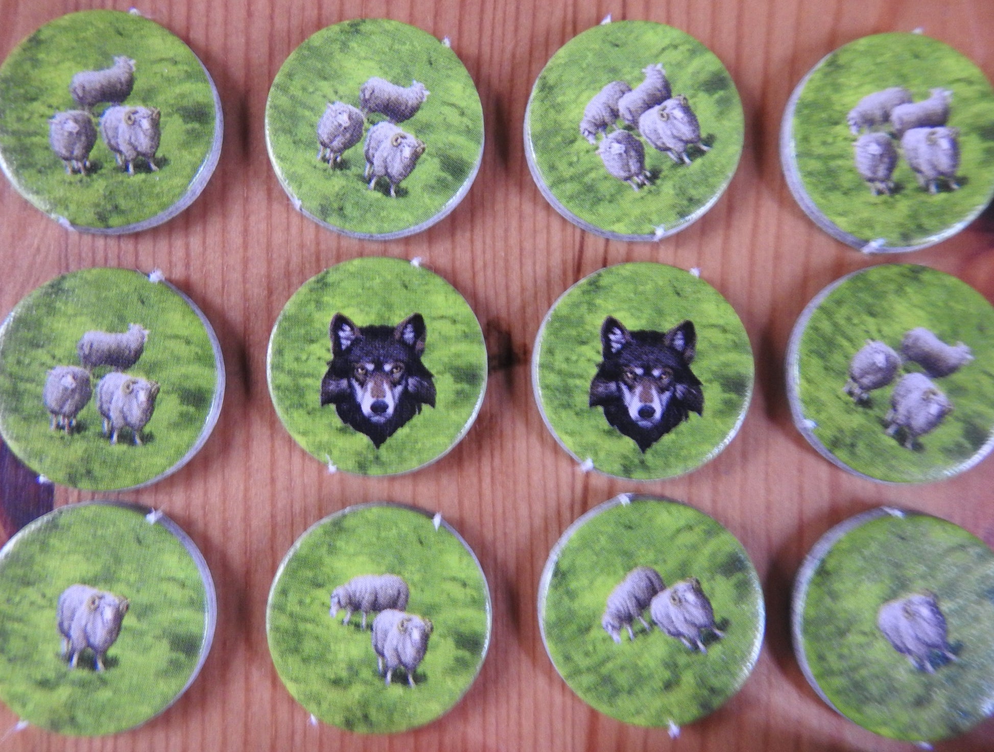 Carcassonne - Sheep & Shepherds | Expansion - Green Zink Games