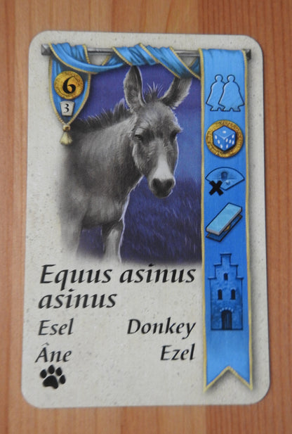 Close-up view of the donkey card.