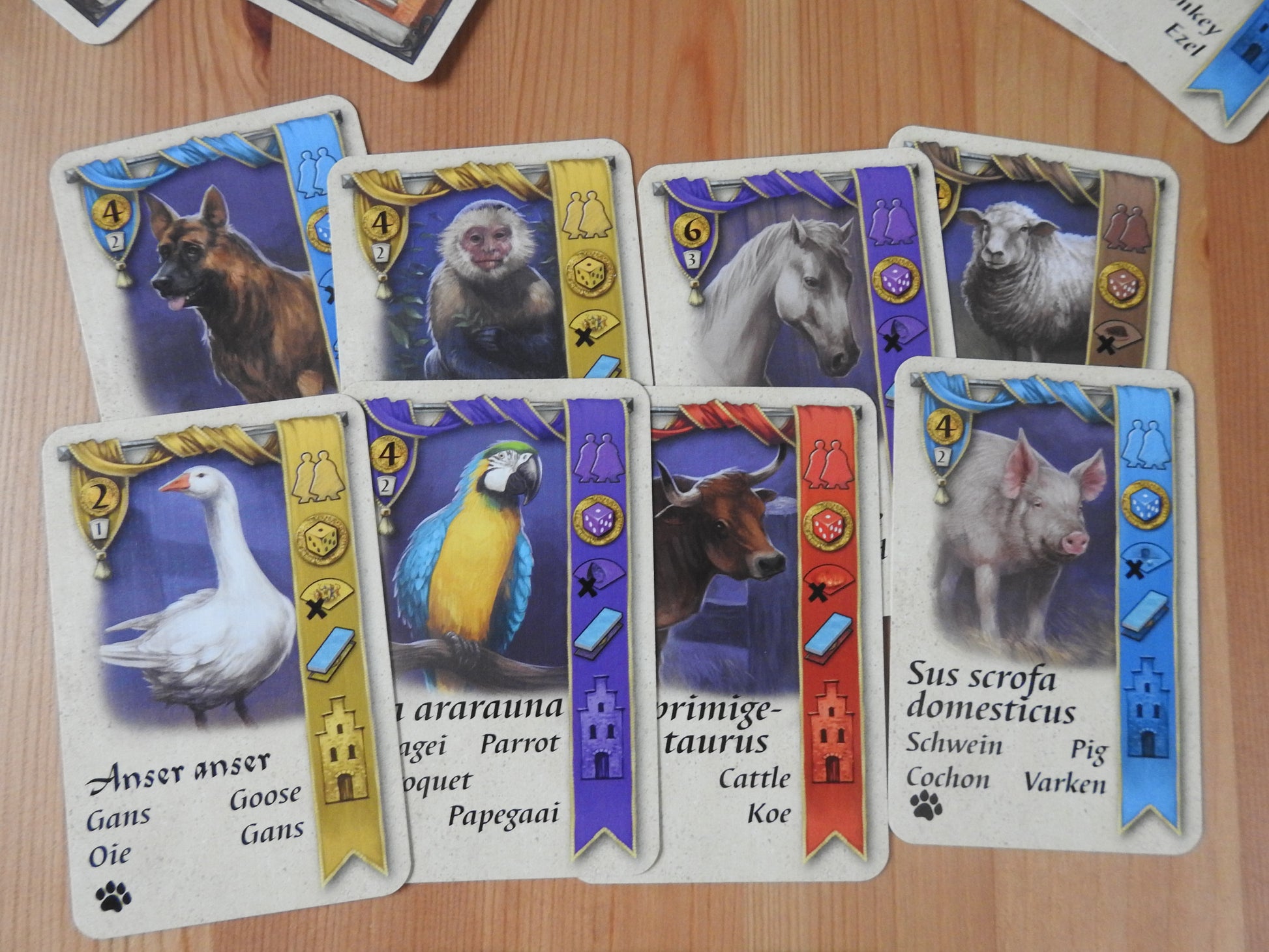 View of 8 of the pet cards included.