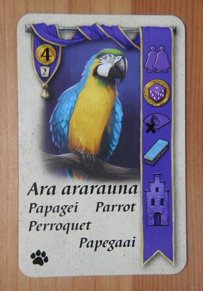 Close-up view of the parrot card.