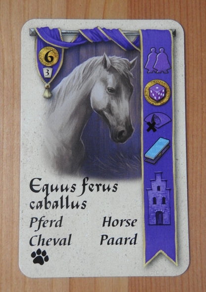 Close-up view of the horse card.