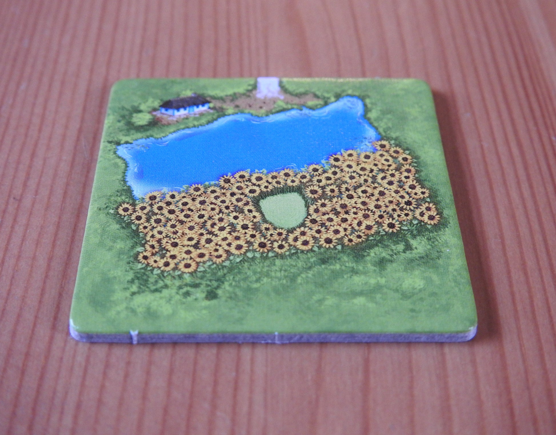 Another angle of the Carcassonne Ukraine Promo Tile.